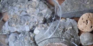 Gold & Silver Colour Small Sets