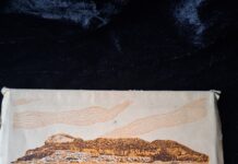 Gibraltar: Rare Postcards & Photo Sets