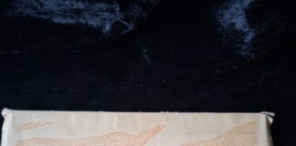 Gibraltar: Rare Postcards & Photo Sets