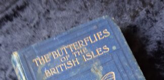 Butterflies of the British Isles 1906 – 120 years old!