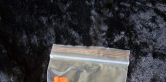 Cute little mix variety bags of vintage buttons