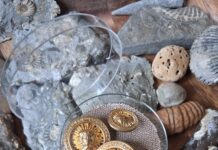 All that Glitters….. a glorious gallery