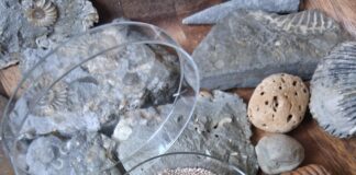 All that Glitters….. a glorious gallery